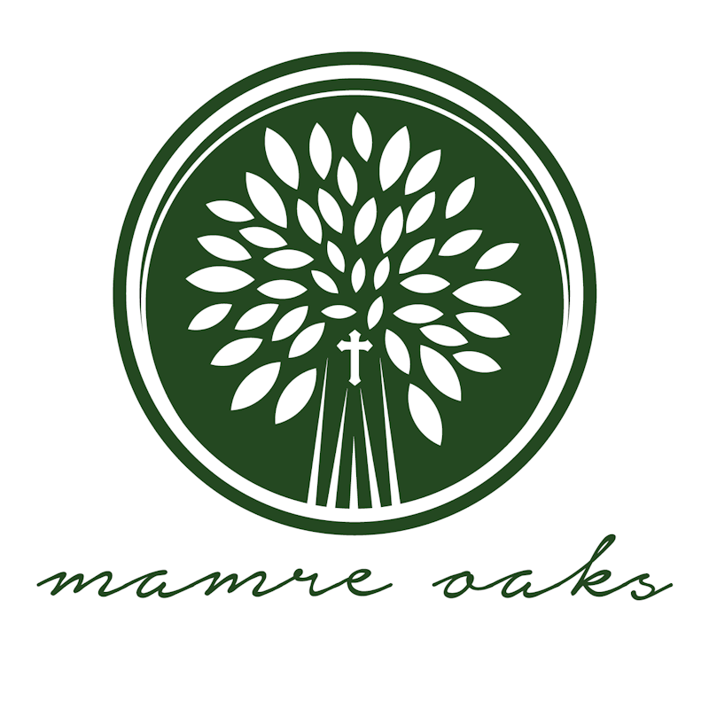 My Website